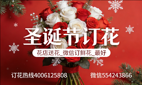 邯郸馆陶县花店送花_微信订鲜花_圣诞节订花_最好? 邯郸馆陶县花店